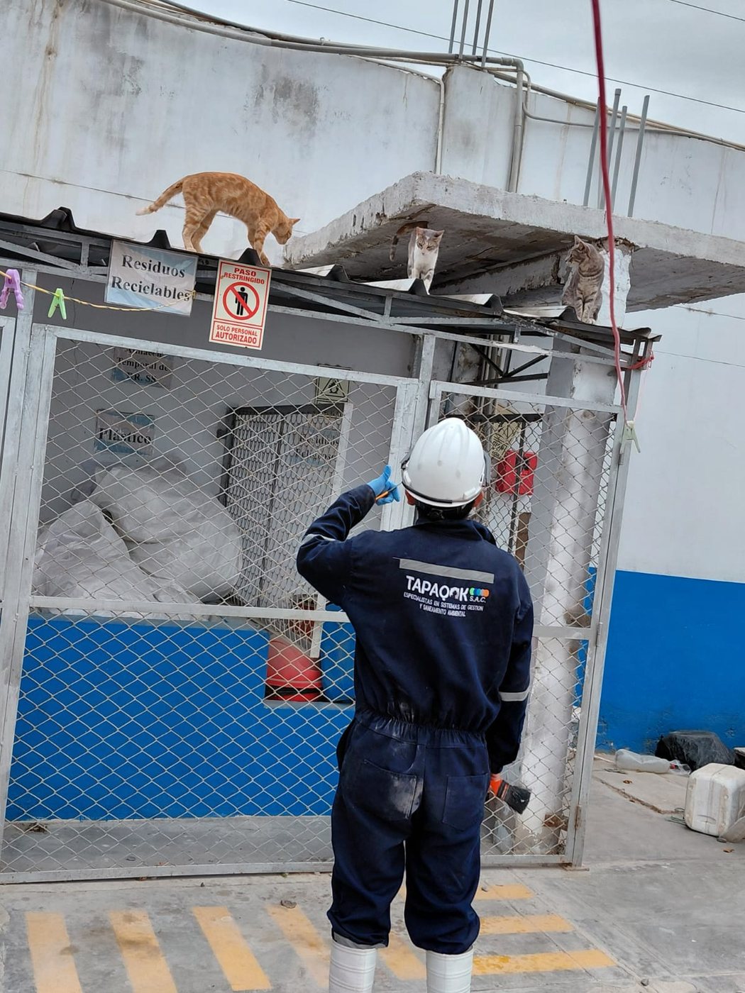 Inspección y diagnóstico